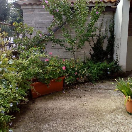 Bed and Breakfast Il Cactus San Giovanni Incarico Экстерьер фото